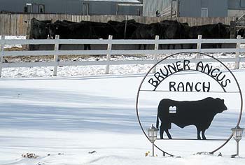 Sign and snow